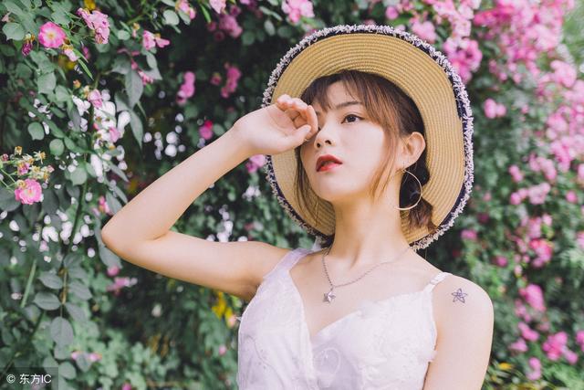 关于田园犬的小说,中华田园犬全文免费阅读