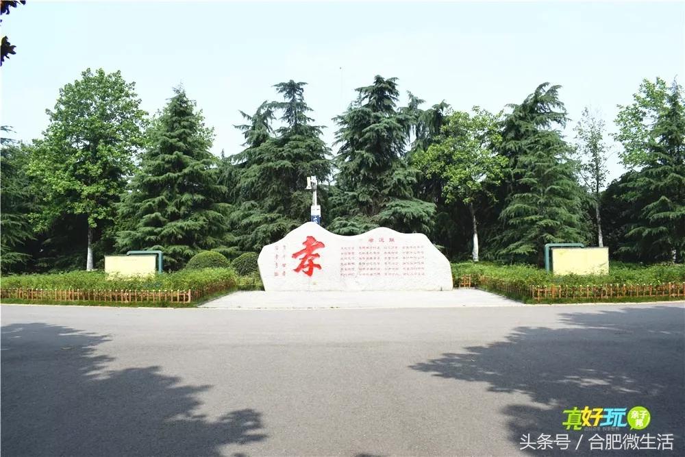 老合肥杏花公园,合肥曾经有两个杏花公园