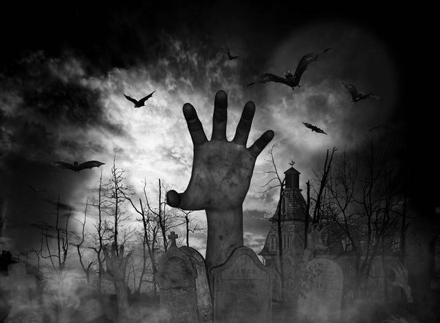 他遇到了一个怪人小说,他遇到一个怪人小说