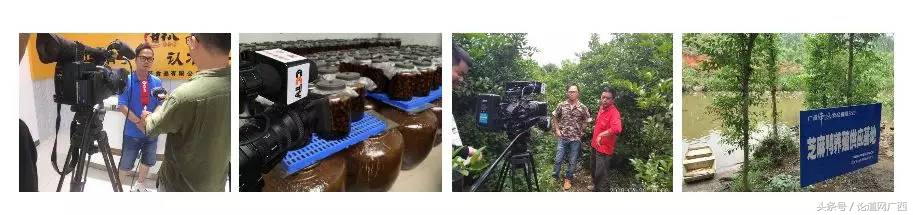 项目私董会回顾：为南宁味代言，广西经典名菜被他玩出新花样！