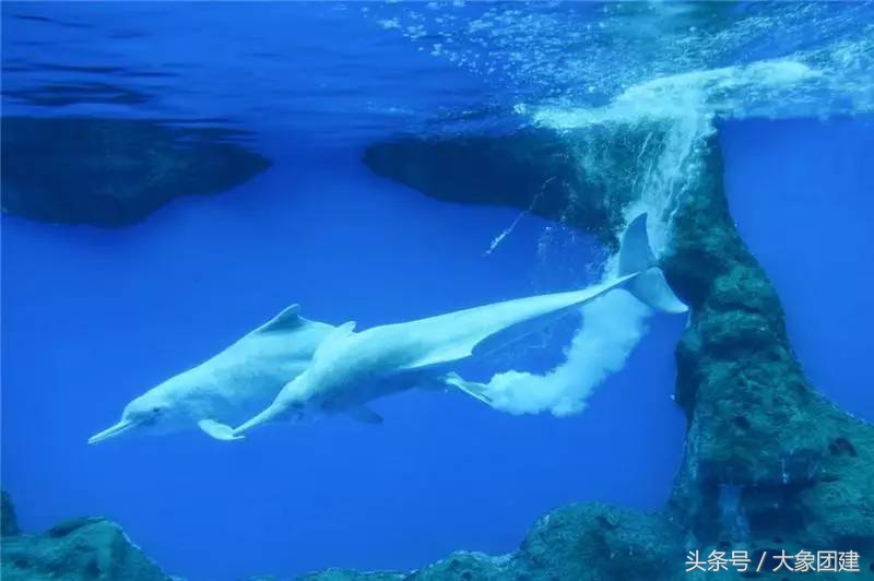 珠海长隆海洋王国游玩攻略时间表,珠海长隆海洋王国游玩攻略文字版