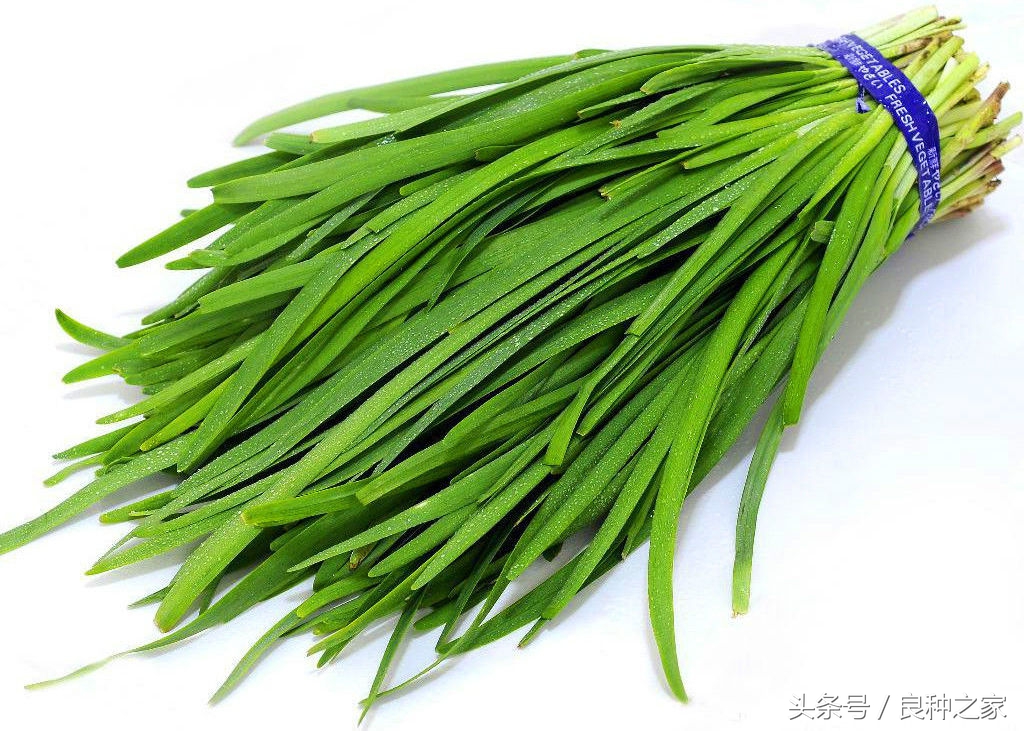 餐桌上常见的本土作物是什么,10种常见的粮食作物