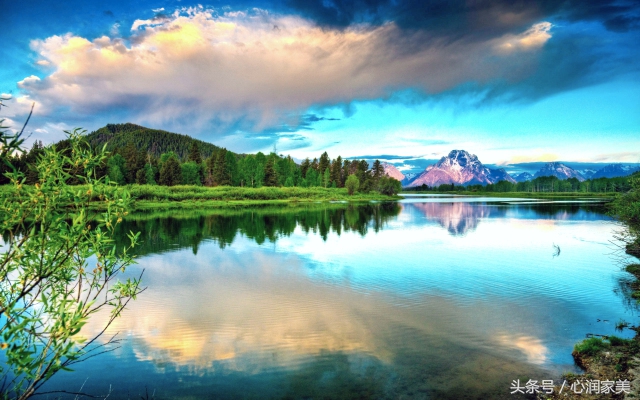 求助心理咨询视频,心理求助咨询什么电话