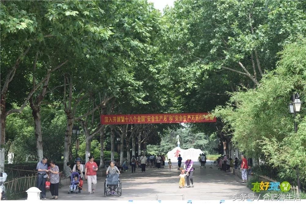 老合肥杏花公园,合肥曾经有两个杏花公园