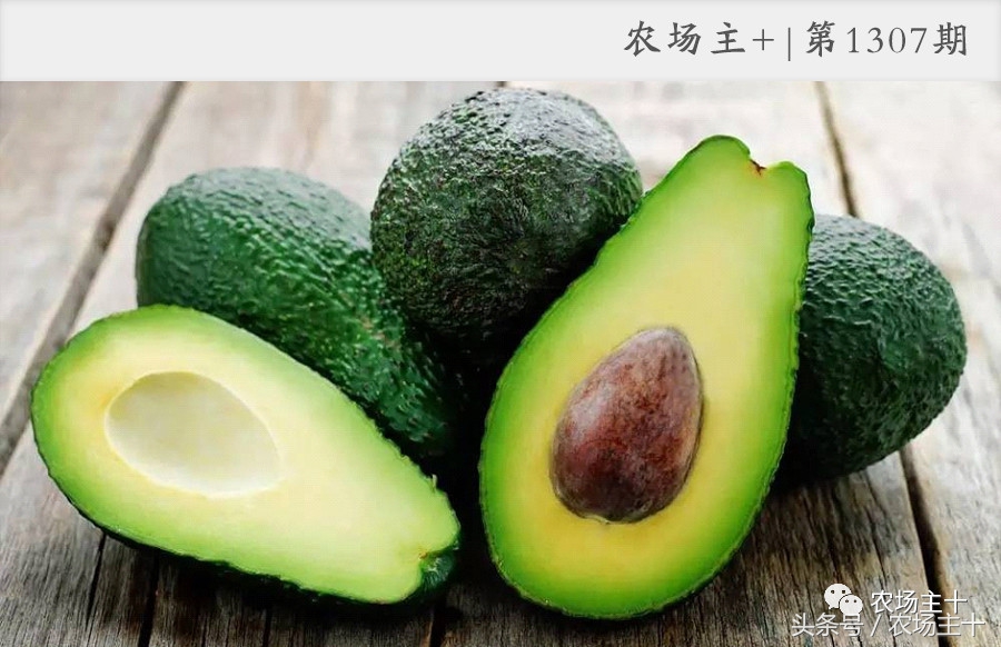 牛油果是怎么炒作起来的,牛油果是怎样炒作起来的