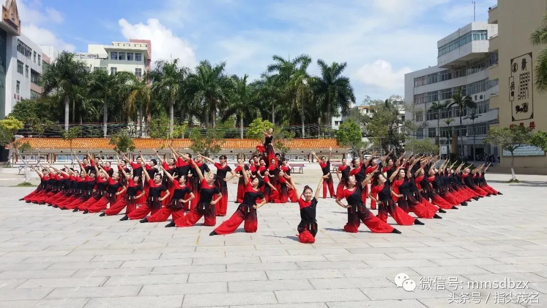 电白中学招生链接,2020年电白中学网上报名