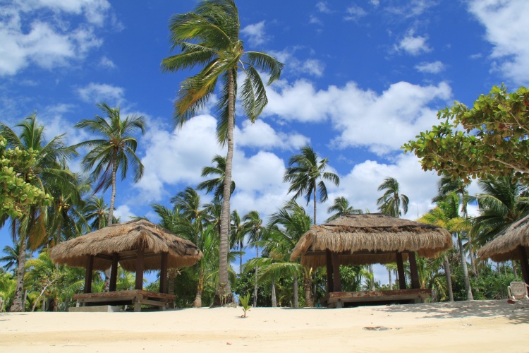 世界上最珍稀的珍珠贝壳,最大的贝壳珍珠