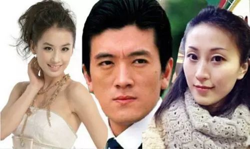 黄圣依的老公杨子为什么这么有钱,黄圣依老公杨子什么背景