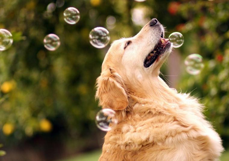 80年代头上为什么会有虱子,30年前都有虱子