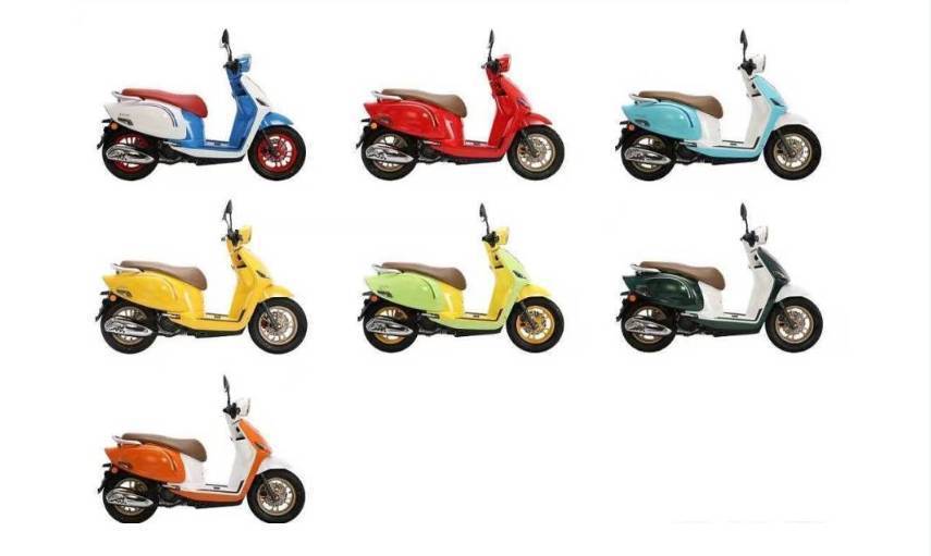 猎变霓焕新“小肥鹅”，量足价优的高性价比复古踏板