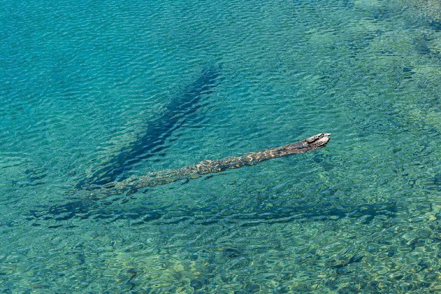 川西小环线4–5天自驾攻略,我的旅行日记川西自驾游