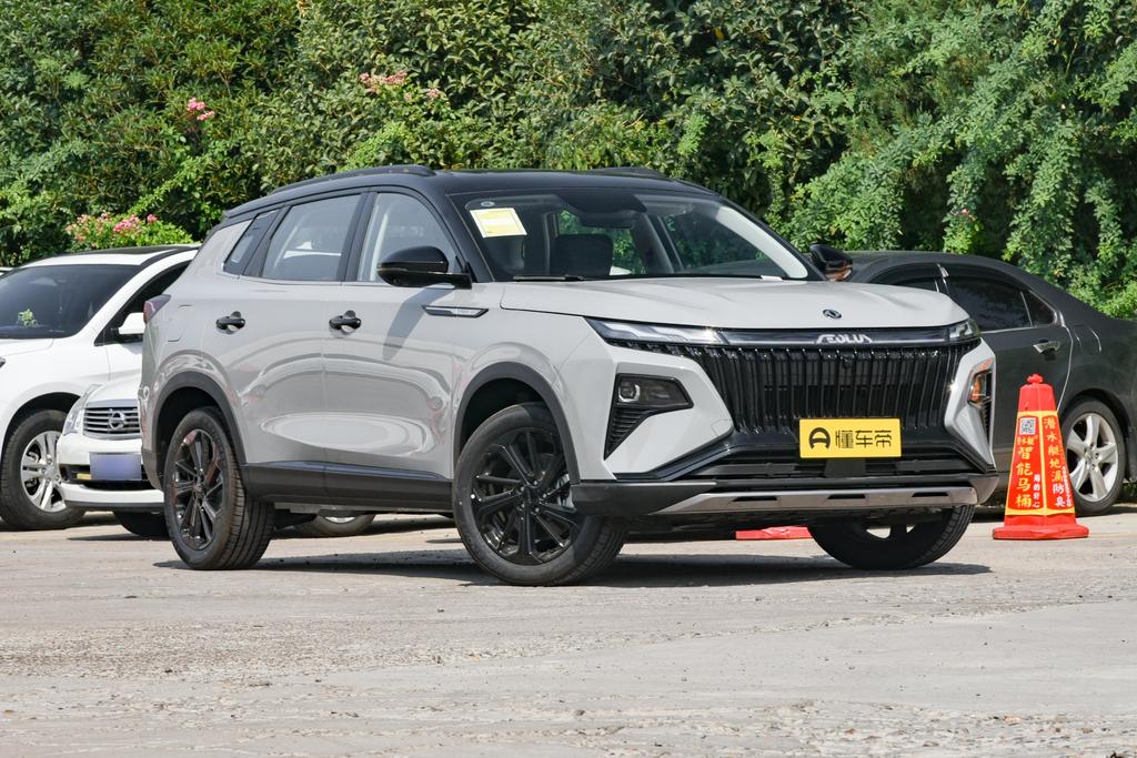 大又能跑，高原评测皓极，大排量车主都羡慕哭了？