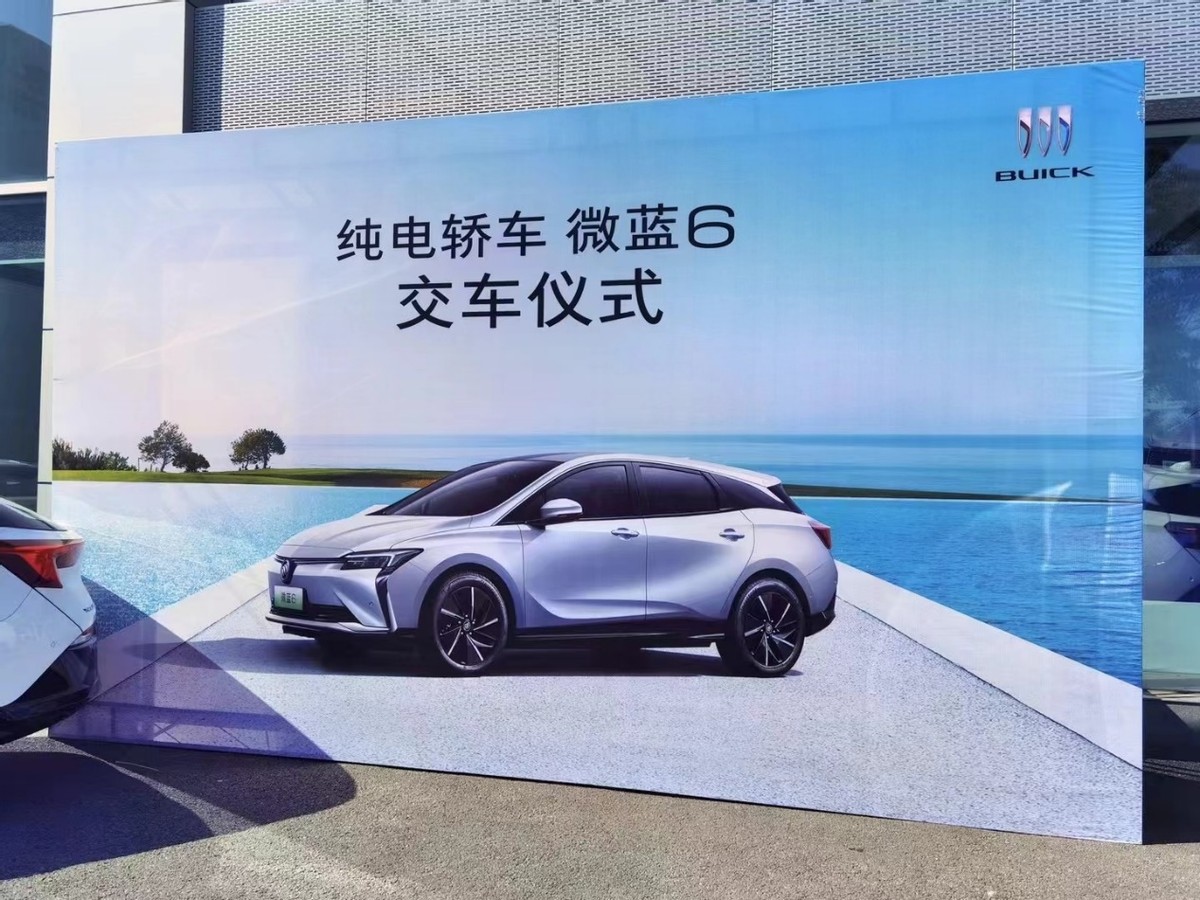 十万价格纯电车推荐,十万价格七座车推荐