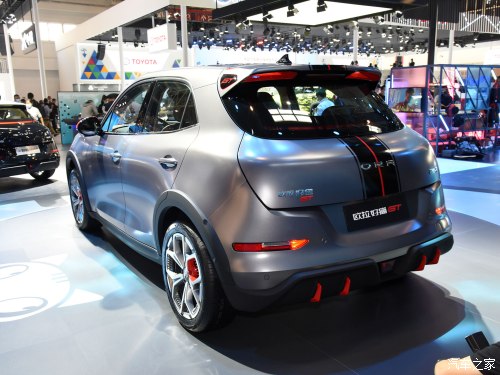 小姐姐的小猫咪,可爱的小野猫小姐姐