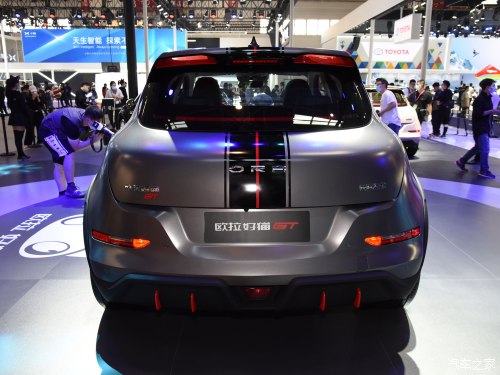 小姐姐的小猫咪,可爱的小野猫小姐姐