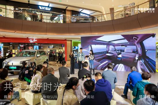 魏牌蓝山降价多少入手合适,2024款魏牌蓝山纯电续航