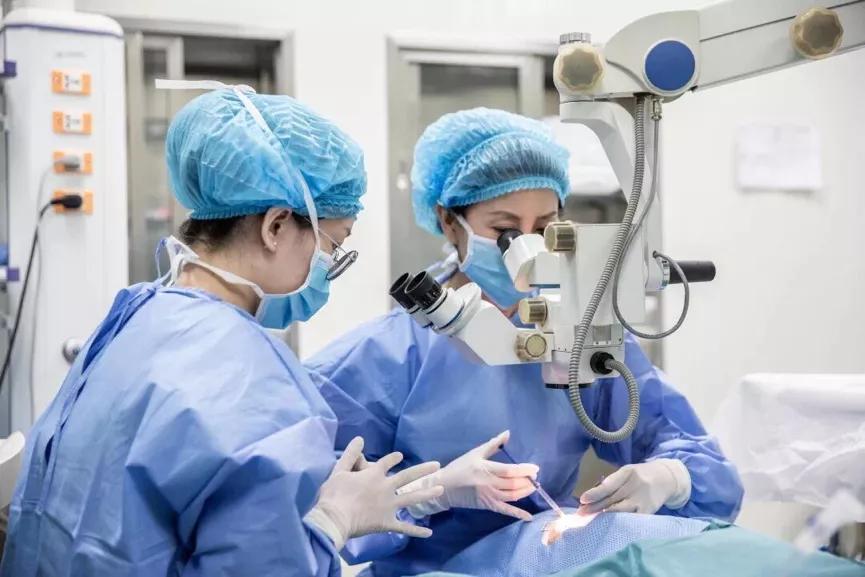 捷豹路虎与007哪个好,007与捷豹