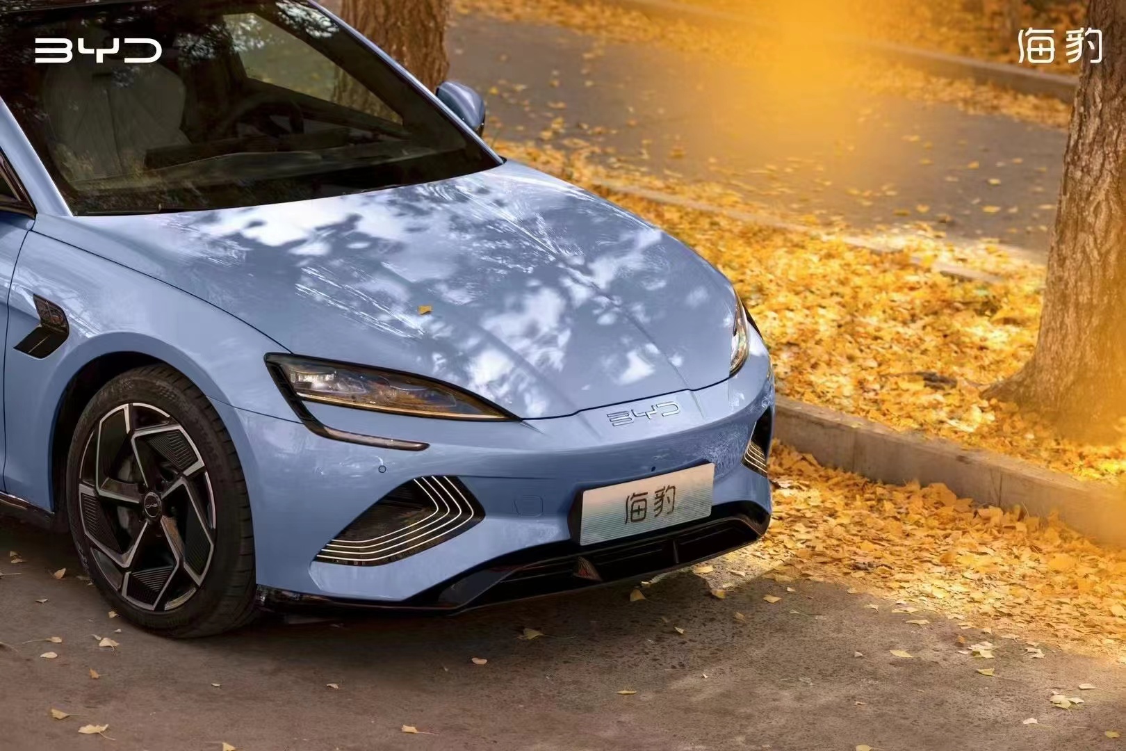 今年买车买什么车？当然是来邯郸南环比亚迪旗舰店买海豹喽