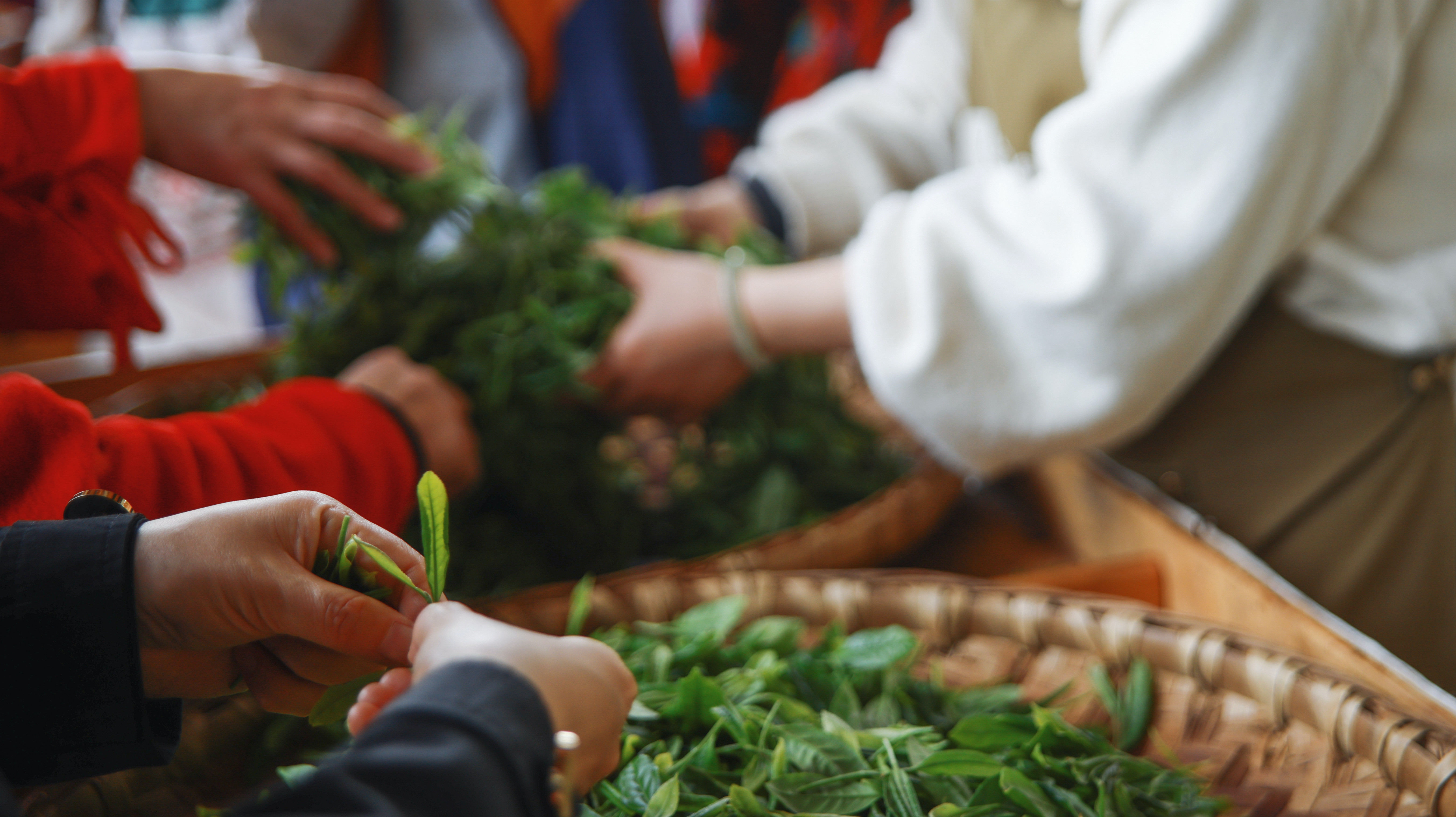 沃尔沃汽车之旅,沃尔沃汽车创享之旅