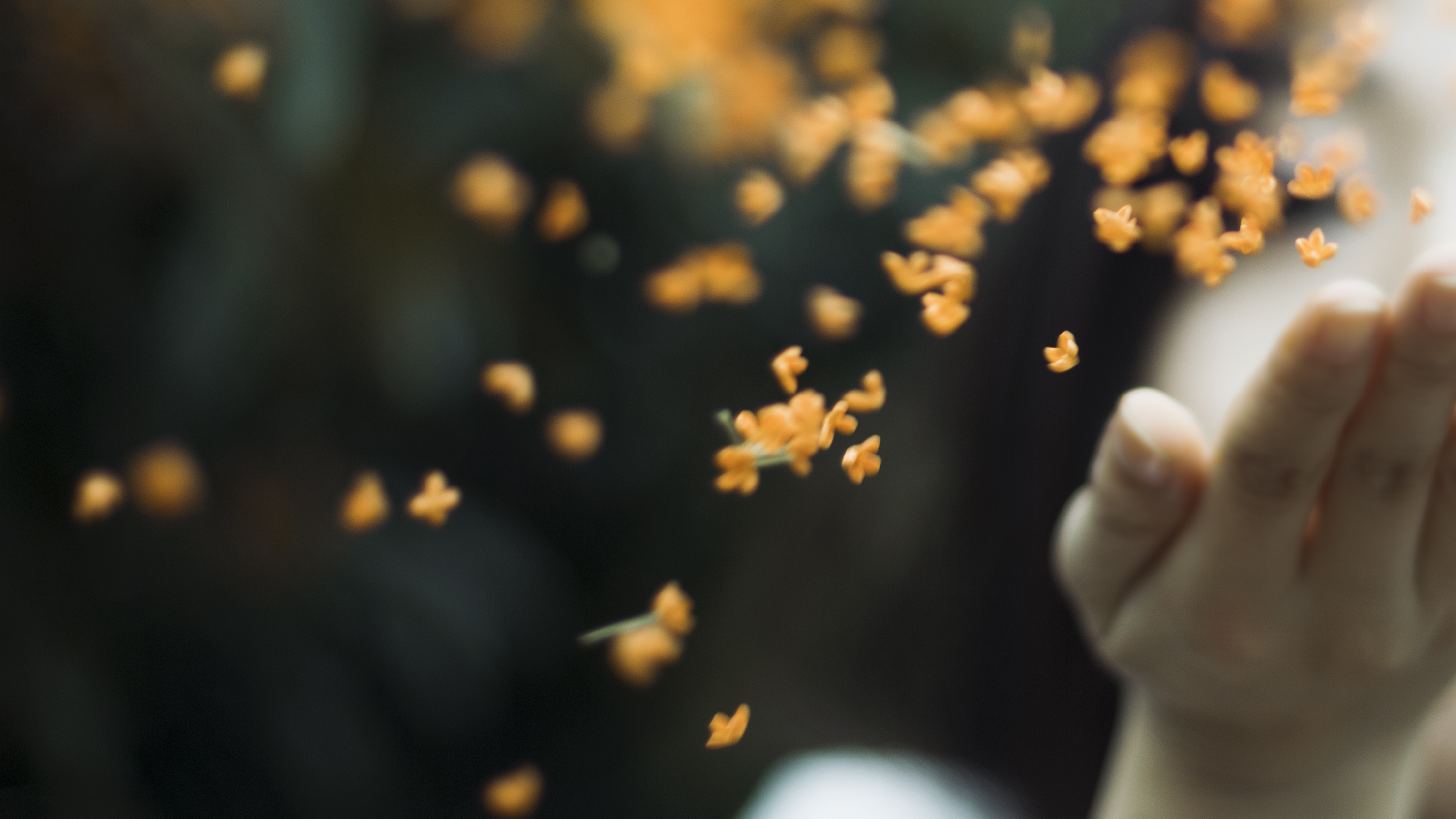 最容易发生交通事故的4个地方,每天发生交通事故多少起