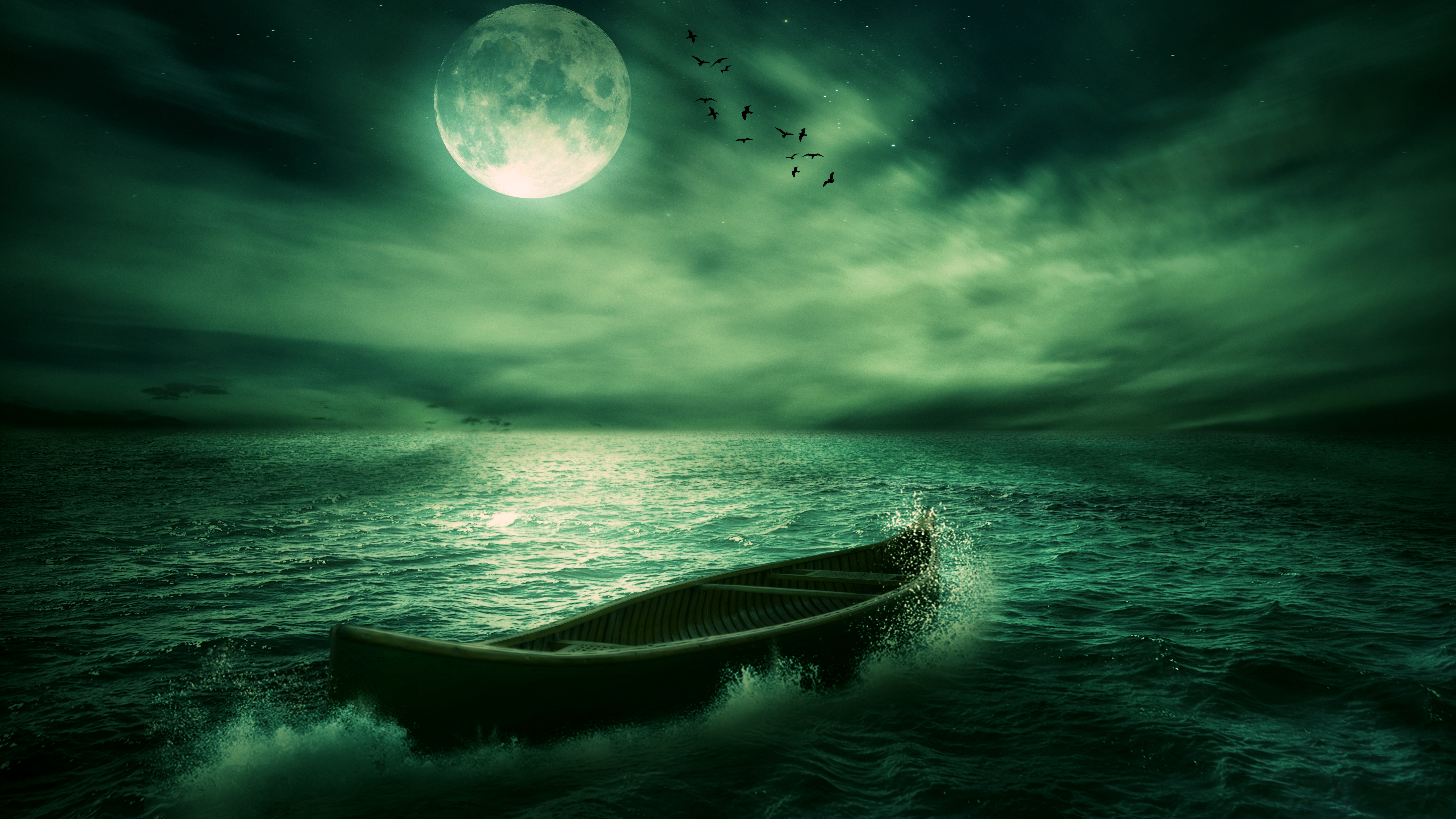 小说：女子穿越到古代，她用晒干的野菊花卖钱，众人都惊呆了