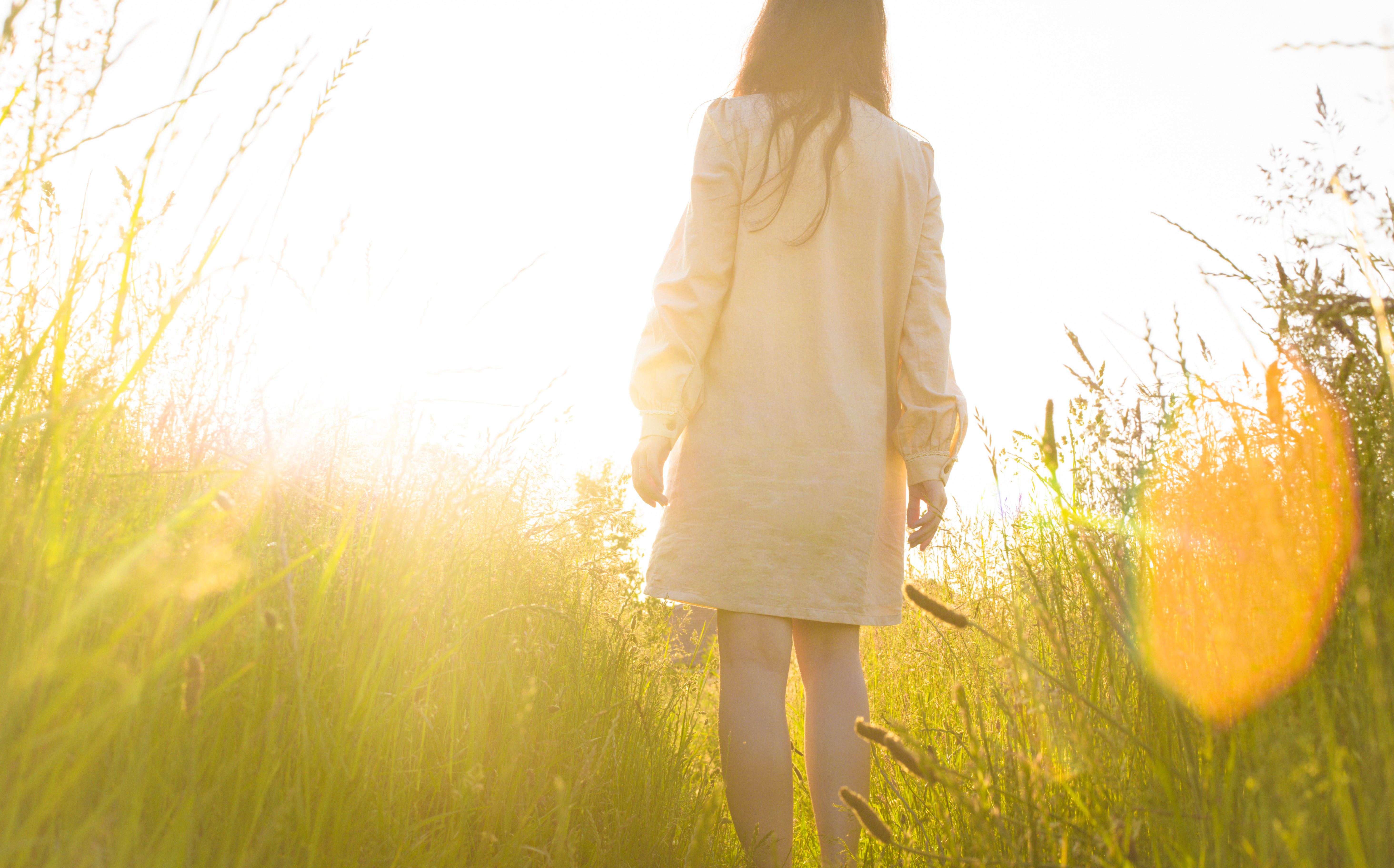 小说：讲述不谙世事的天才男主，为适应社会，最终放弃自己的天性