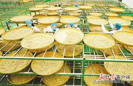 决战决胜脱贫攻坚年,决战决胜脱贫攻坚