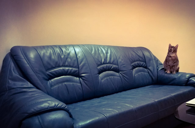 真皮沙发破损如何美容修复,皮沙发掉皮怎么翻新修复