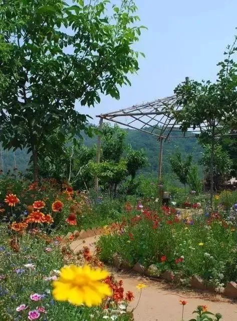 庭院花园石材地板铺设效果,私家庭院最流行的4大铺装方式