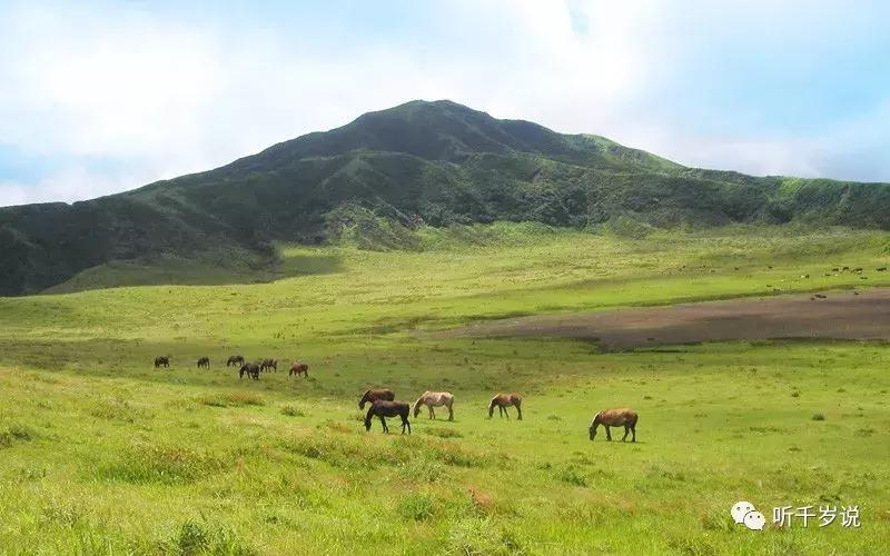 日本东京熊本熊,日本熊本游