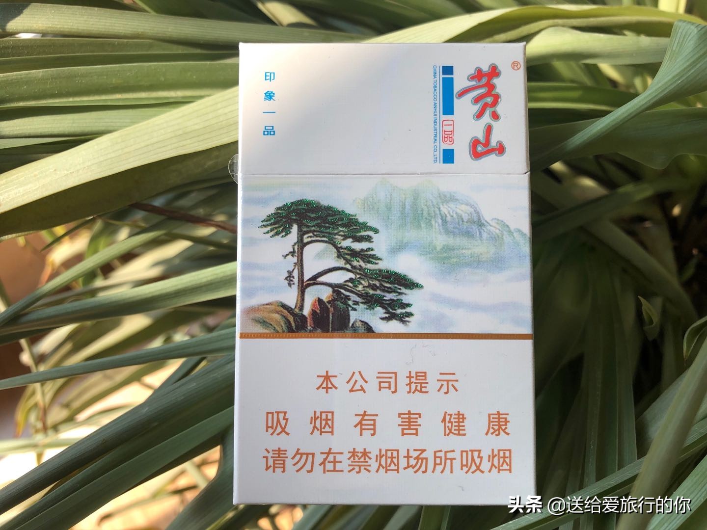 一支香烟,一支香烟英文