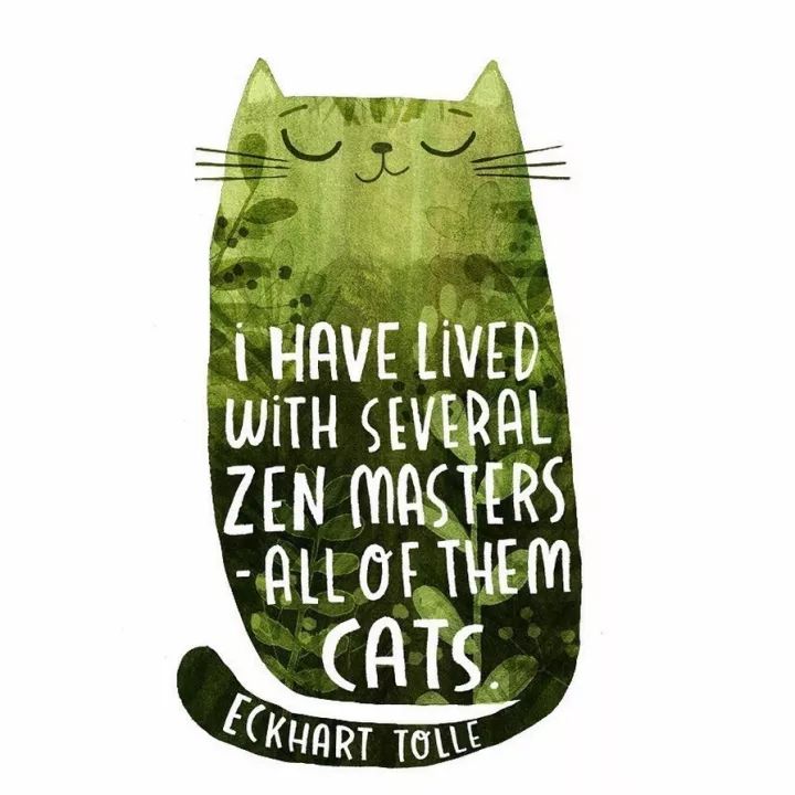 姑娘1天画1只猫坚持了100天 (坚持画猫100天的姑娘太有才了)