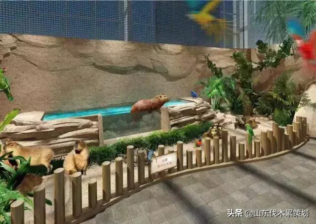 日照花仙子打卡地,日照东夷小镇旅游攻略