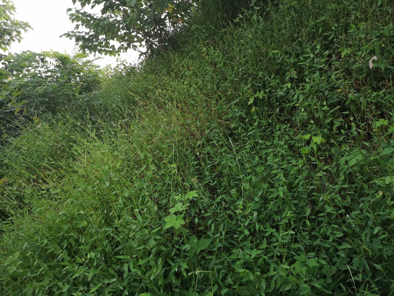 摩托自驾景点附近,蚌埠古迹半日游