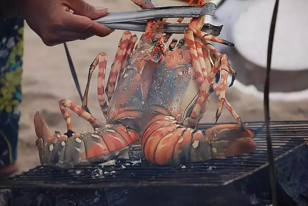 芽庄:人生必去的旅游地之一!