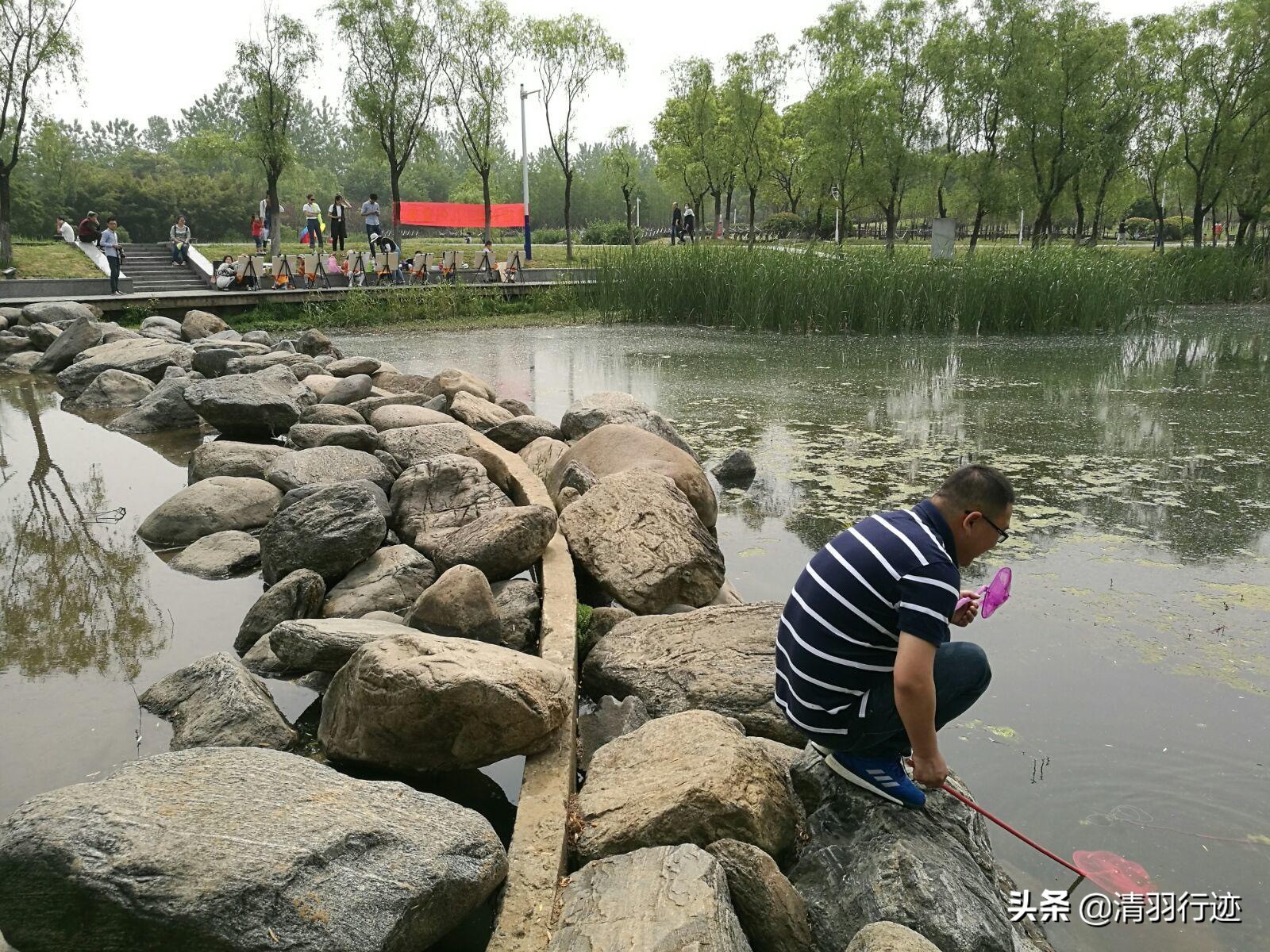 合肥有个很出名的湖,合肥有湖有公园