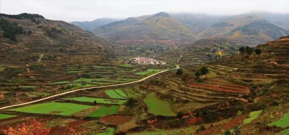 庄浪梯田的自然环境特点,庄浪的地形是什么形状