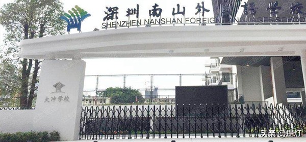 深圳南外排名第几,深圳2019中考喜报南二外