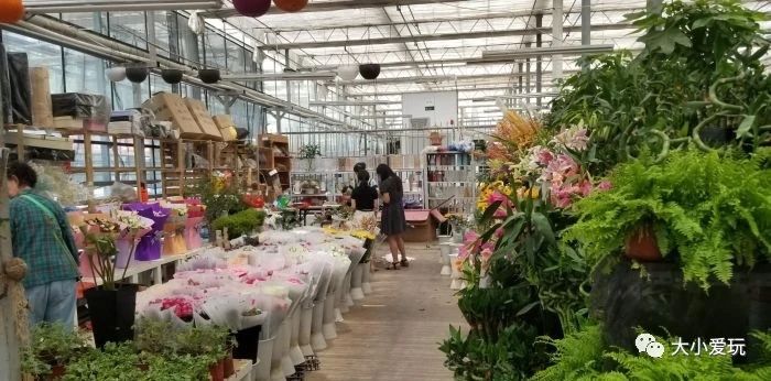 过年必逛花卉市场,北京值得去的花卉市场