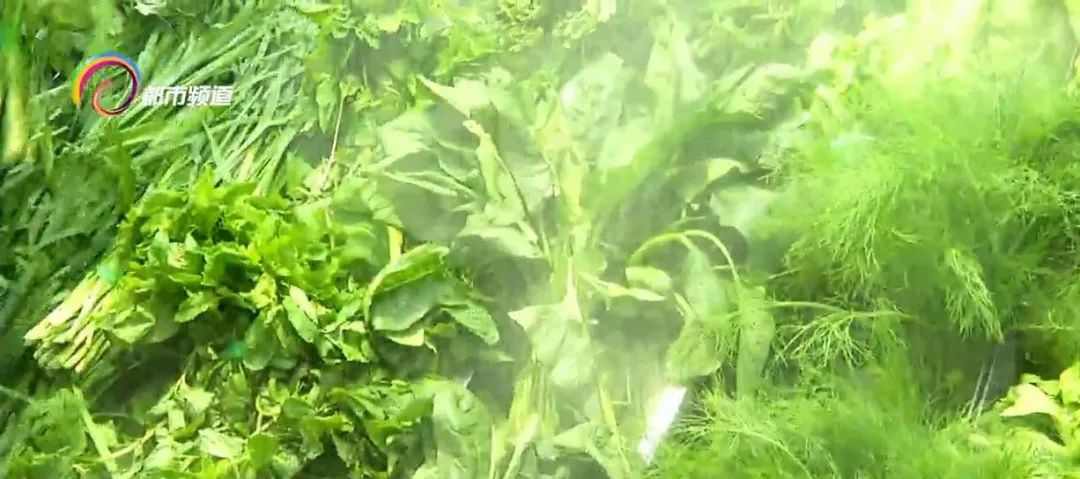 饭菜吃不完,吃不完的饭菜怎么放冰箱