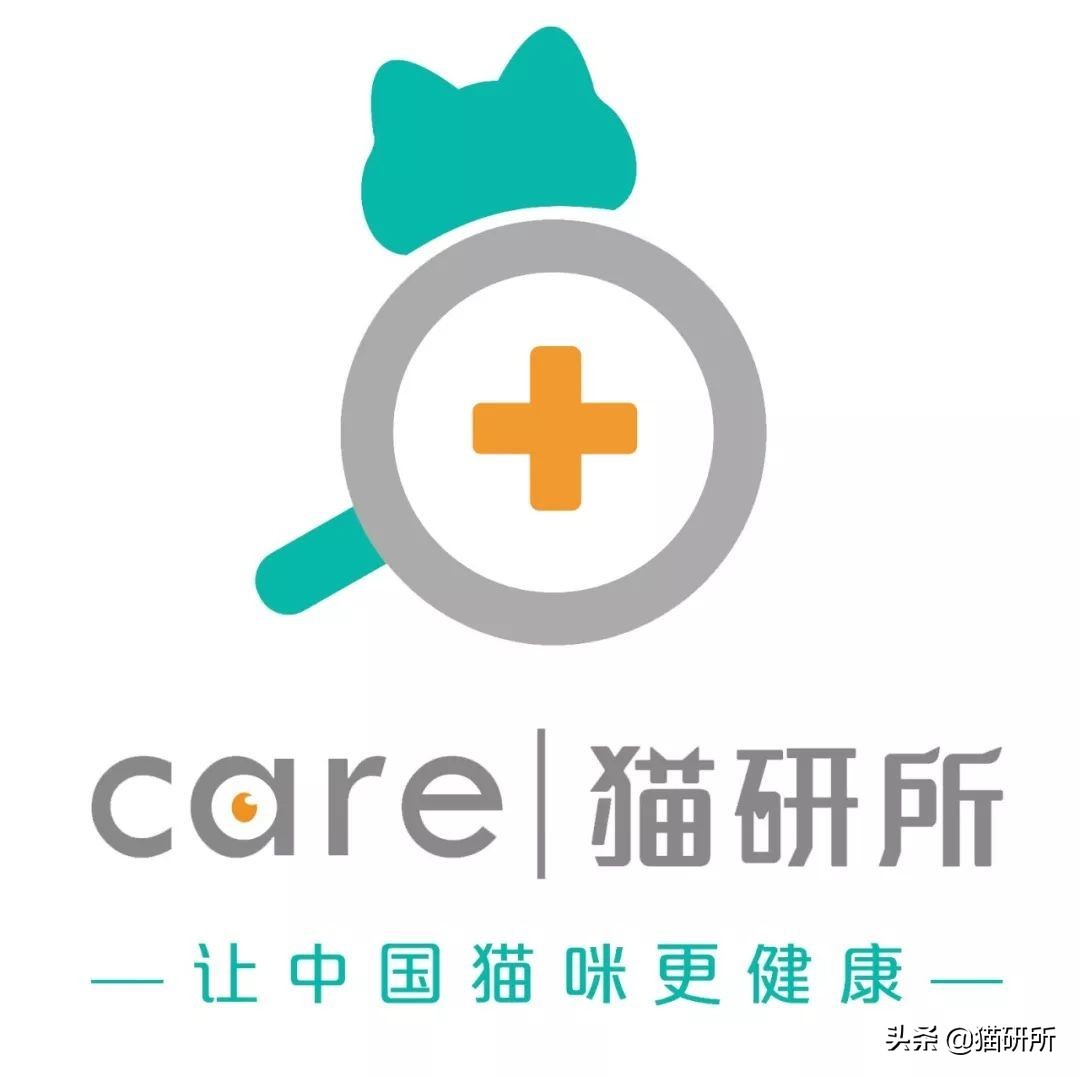 一学就会的喂药秘笈！轻松解决猫咪的吃药难题