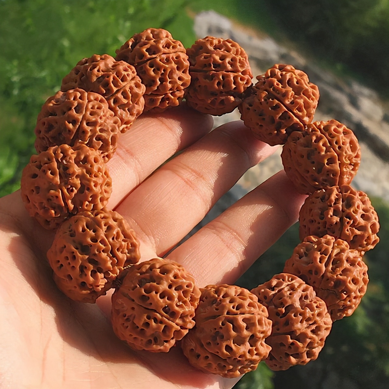 现在不玩金刚菩提了都玩什么,金刚菩提的基础知识