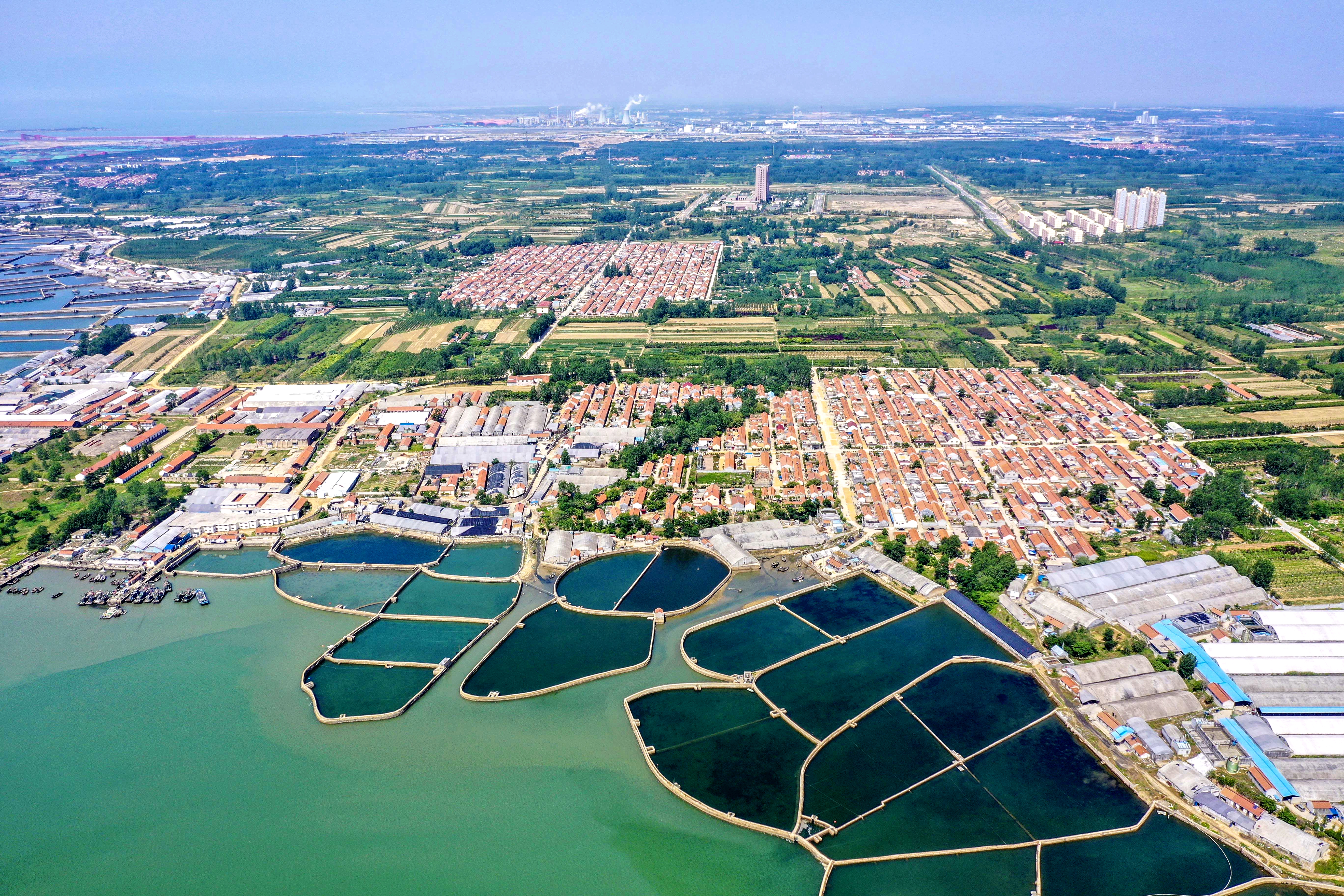 大海蔚蓝簇拥着的贡口村,灵动着纯美,播养海参和剥扇贝别具风情