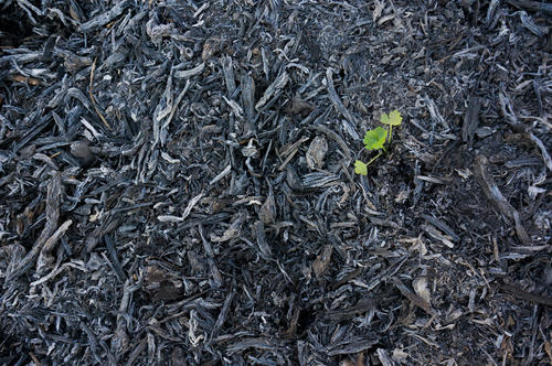 小孩五行命理,孩子五行