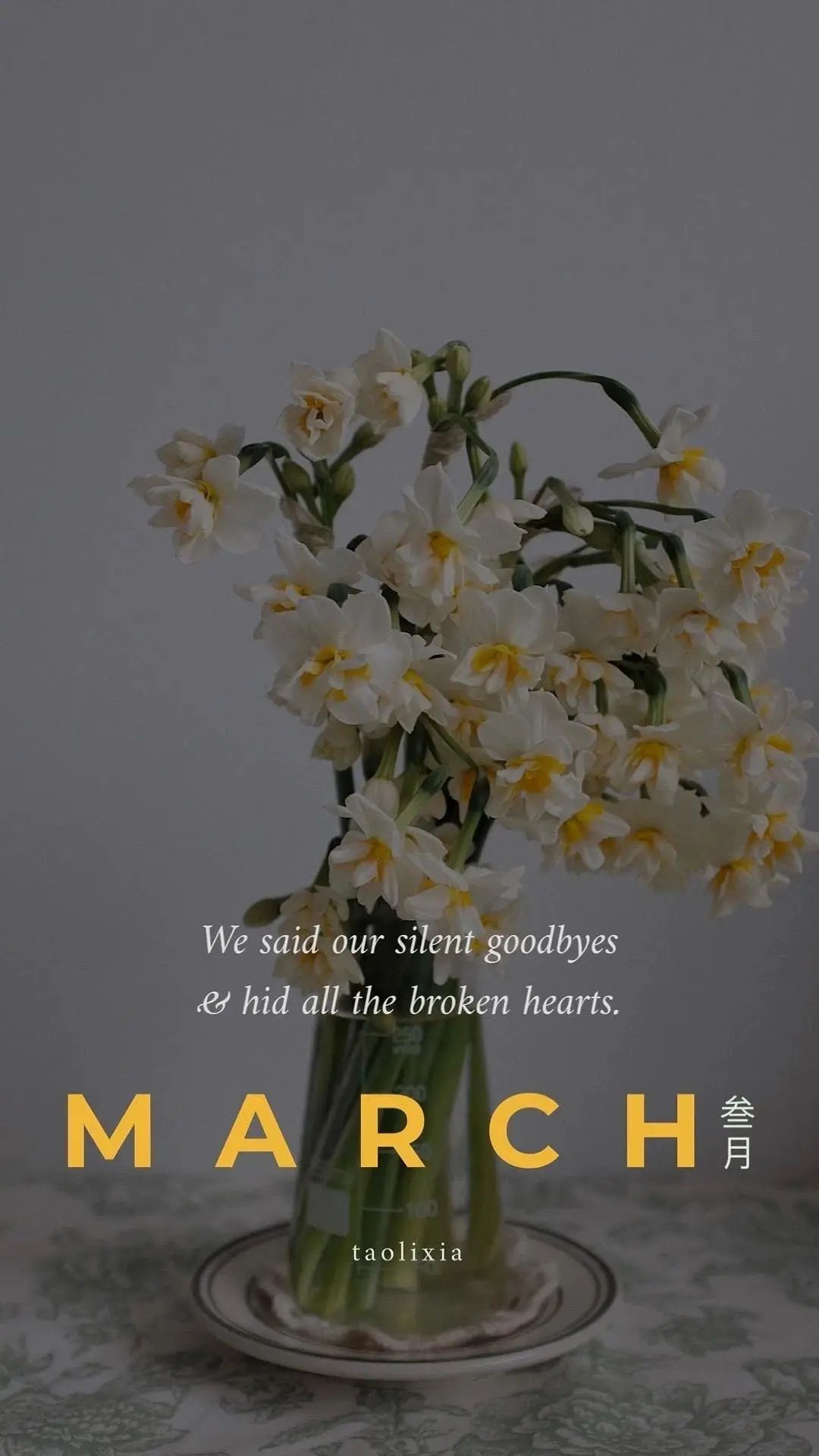 就像是一场无声的告别,所有的道别都是无声的