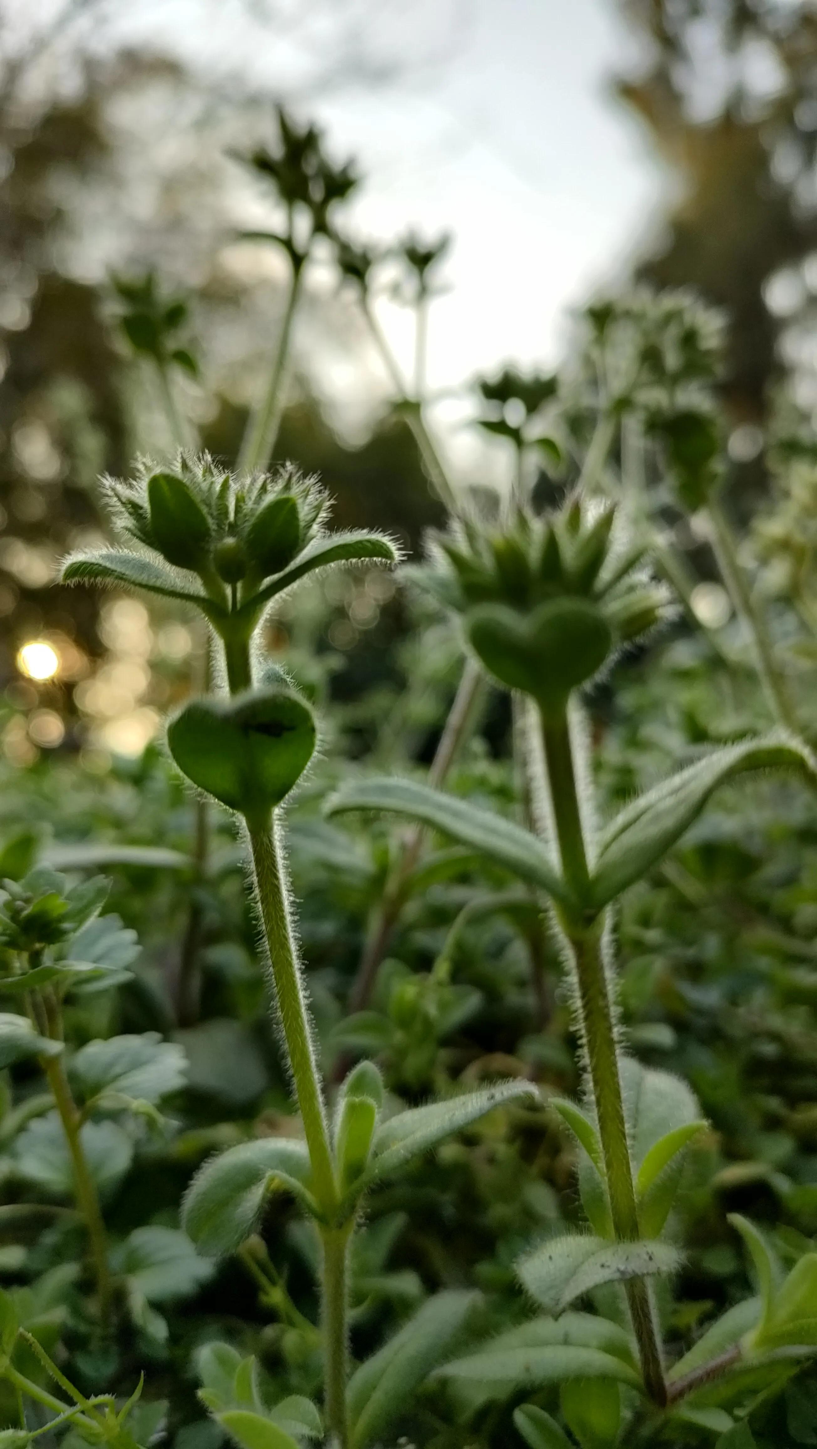 济南是一座美丽城市,济南梦想之城