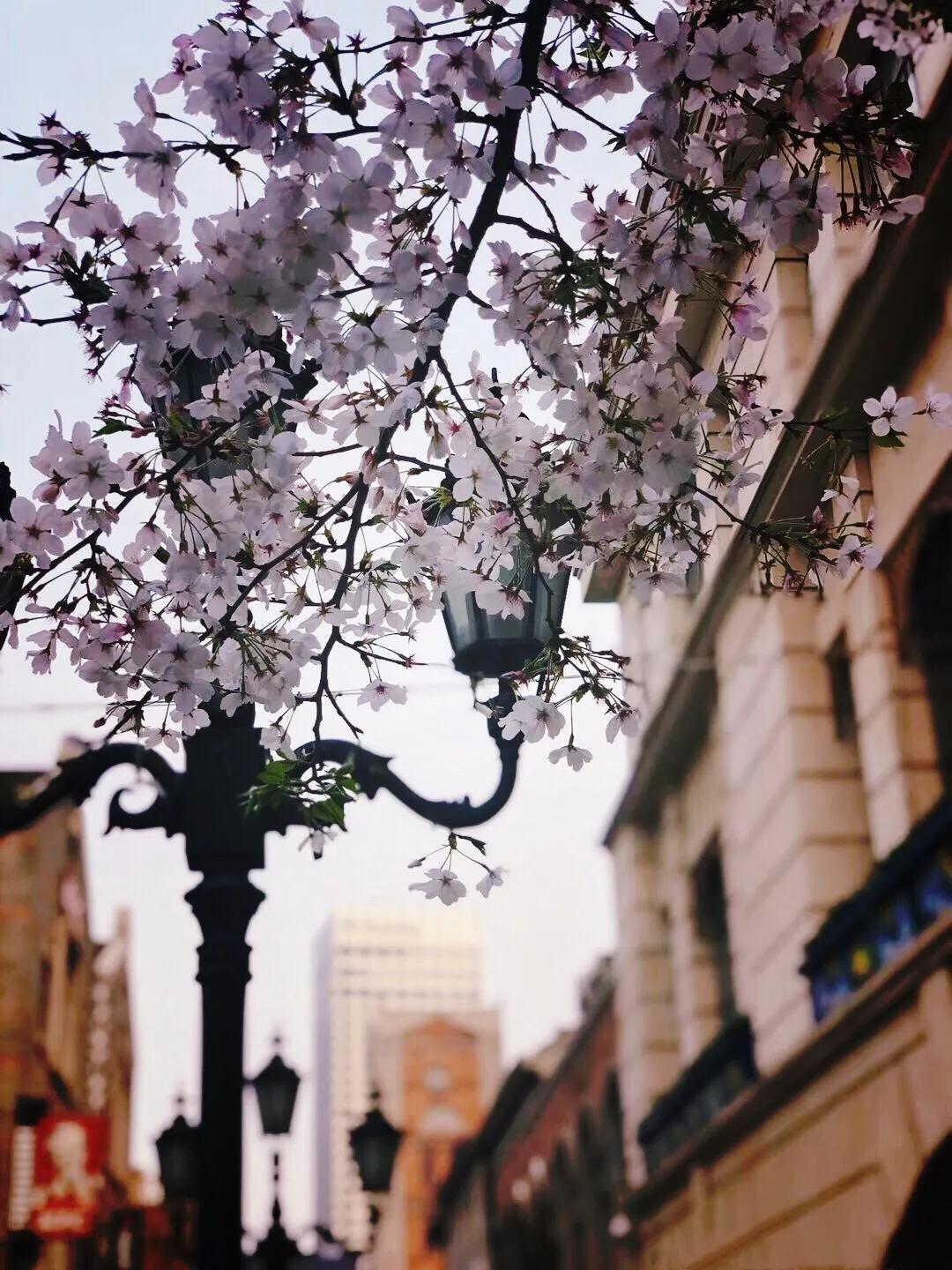 武汉市世茂广场复工,武汉万达复工