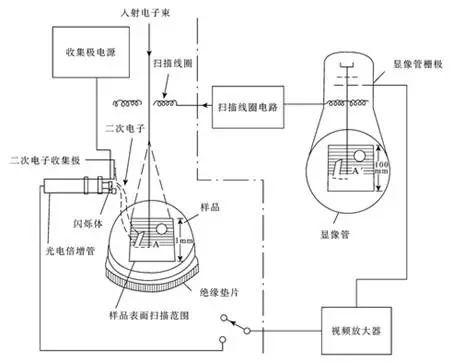 如何进行扫描电镜的制样和操作,扫描电镜工作原理及制样方法