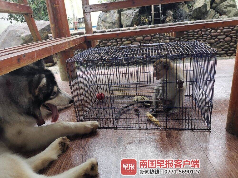 鏉戞皯瀹朵腑鍙戠幇璇″紓鐜拌薄,鏉戞皯瀹朵腑鍙戠幇璇″紓浜嬩欢