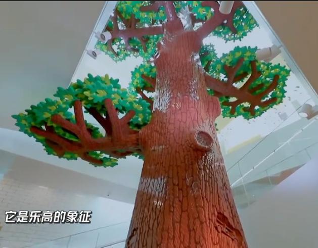 王一博在乐高工厂视频,王一博乐高总部照片